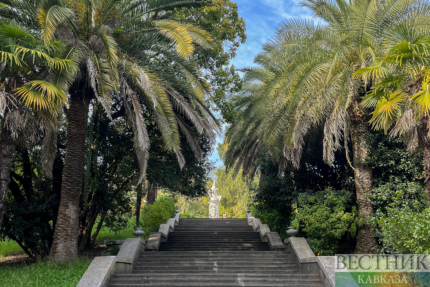 ����: vestikavkaza.ru