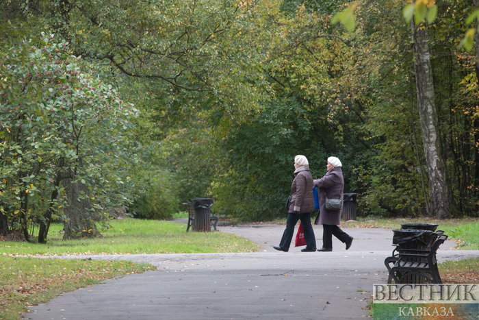  ���� �������� cop29 �������� ������������ 