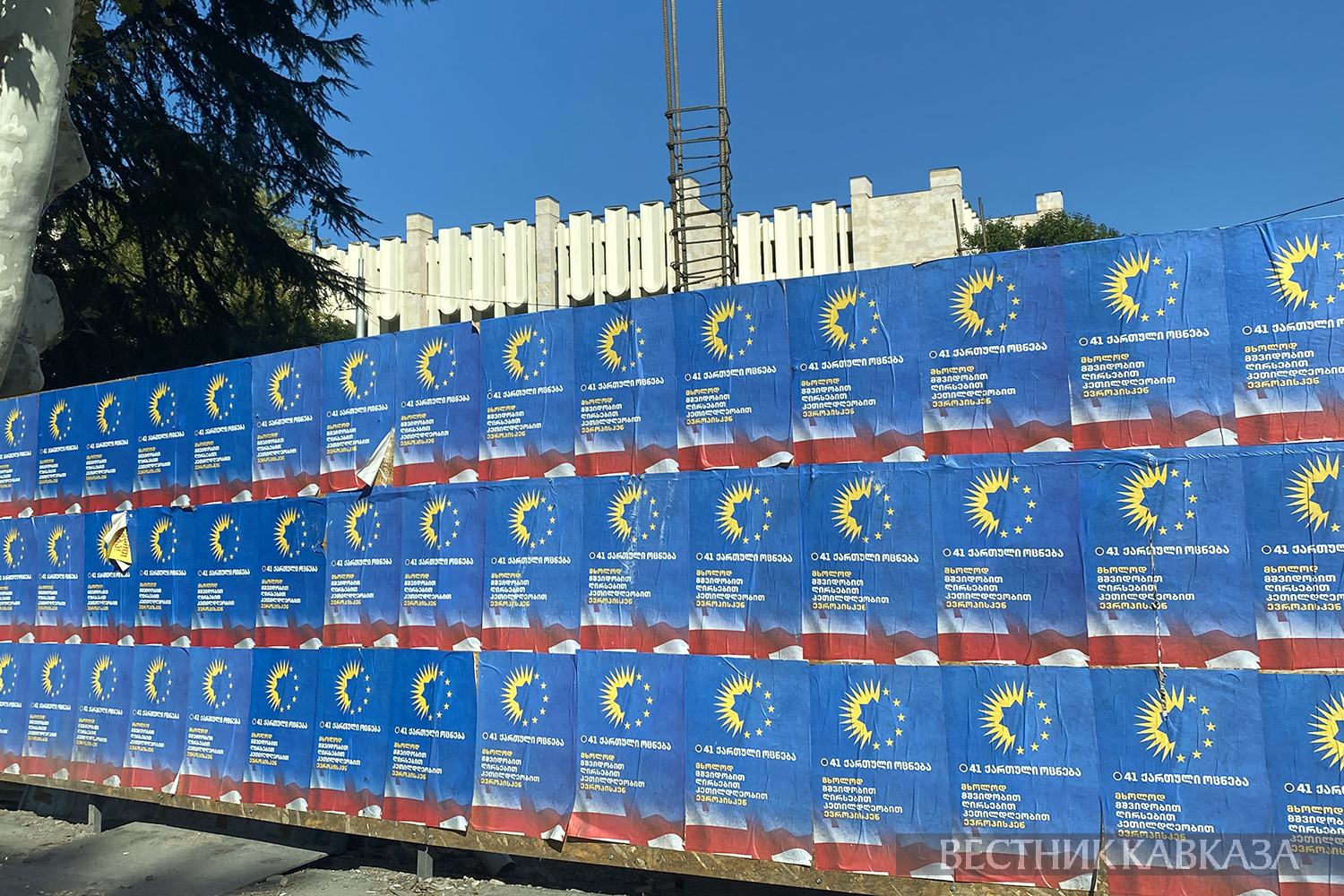 ����: vestikavkaza.ru