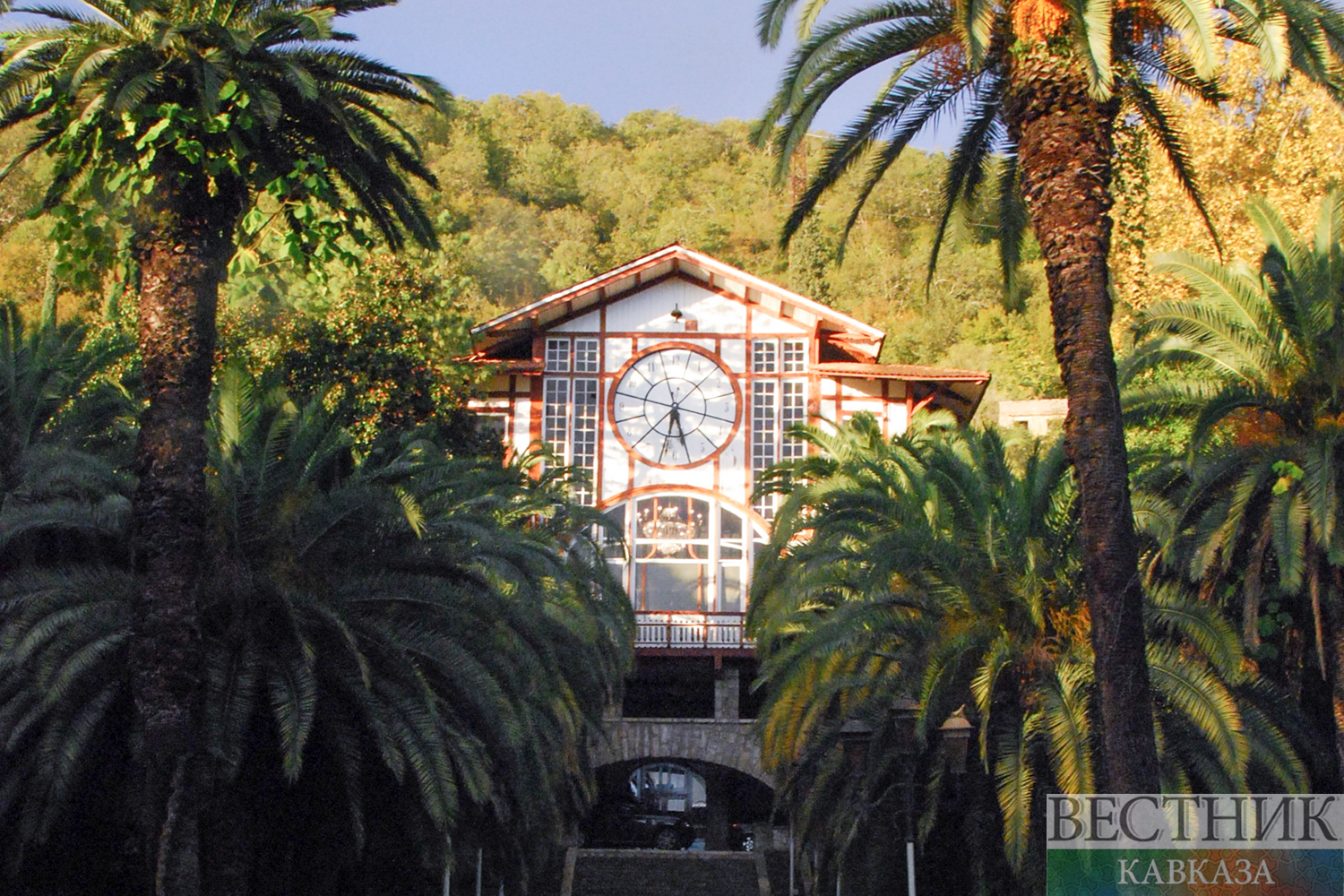 ����: vestikavkaza.ru