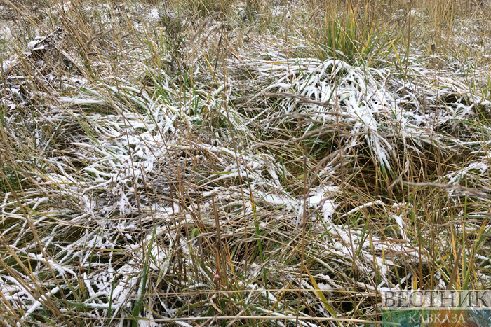 ����: vestikavkaza.ru