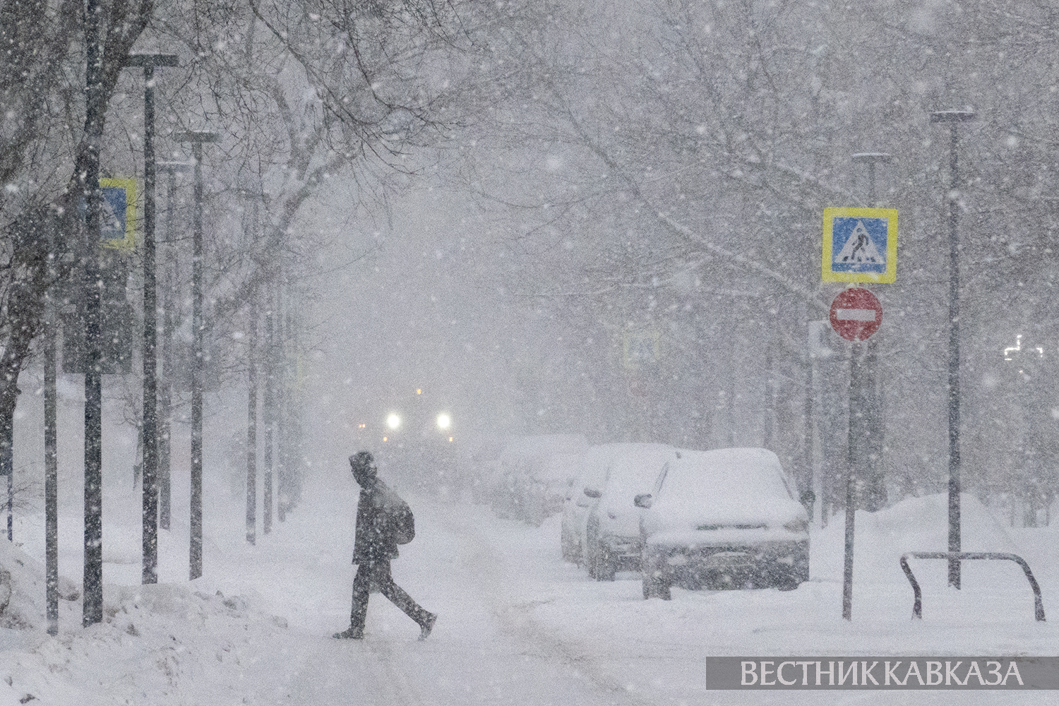 ����: vestikavkaza.ru