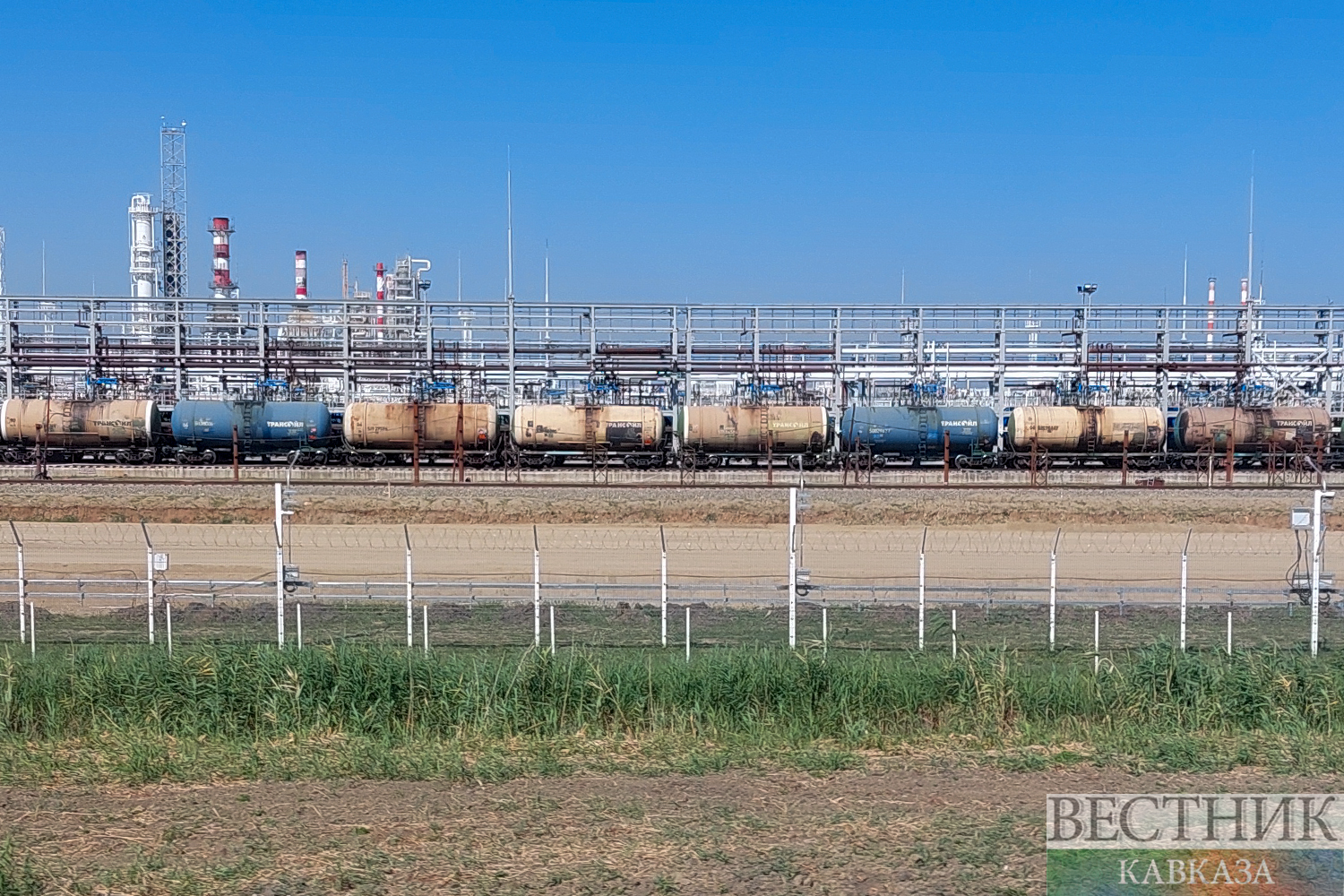 ����: vestikavkaza.ru