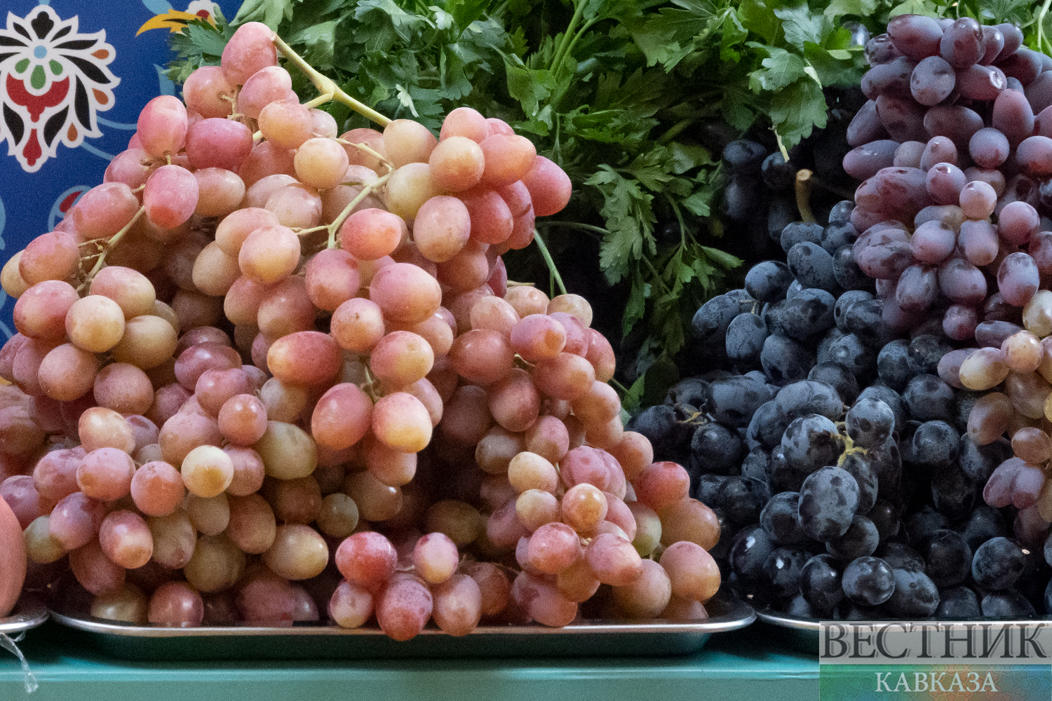 ����: vestikavkaza.ru