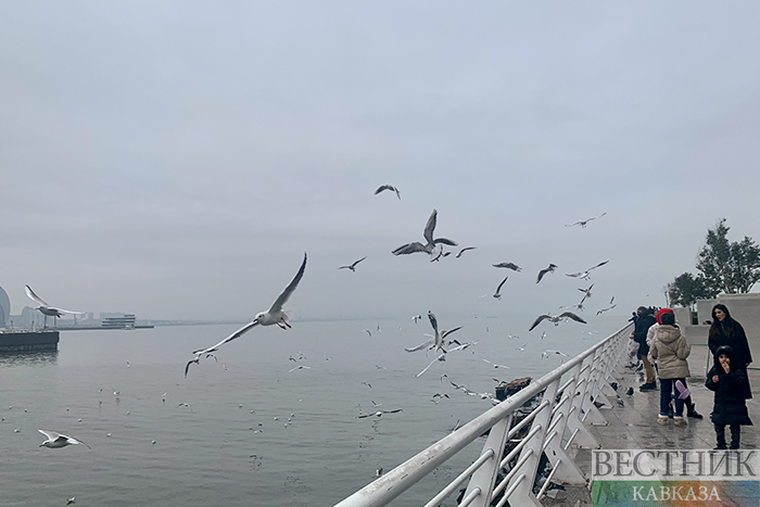 ����: vestikavkaza.ru