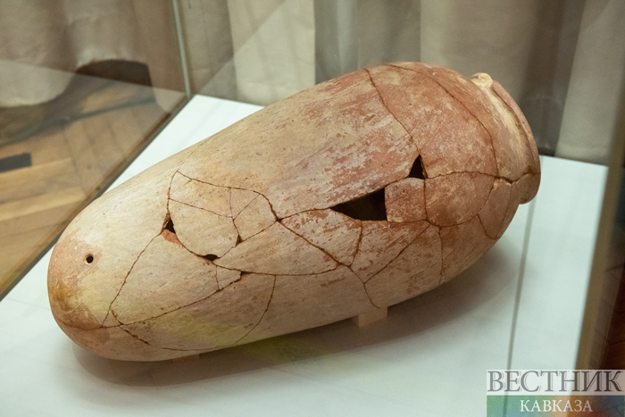 Фото: vestikavkaza.ru