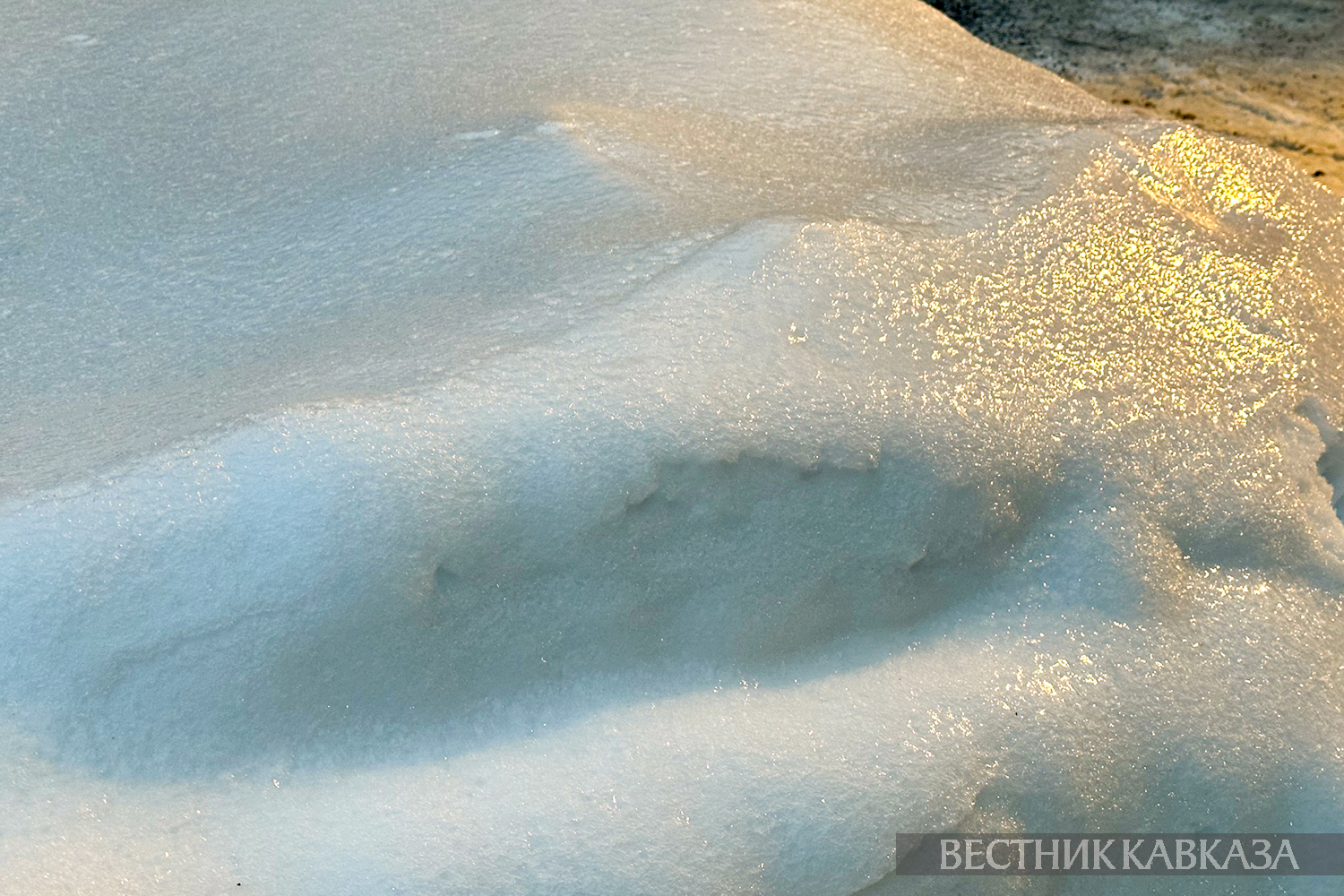 ����: vestikavkaza.ru