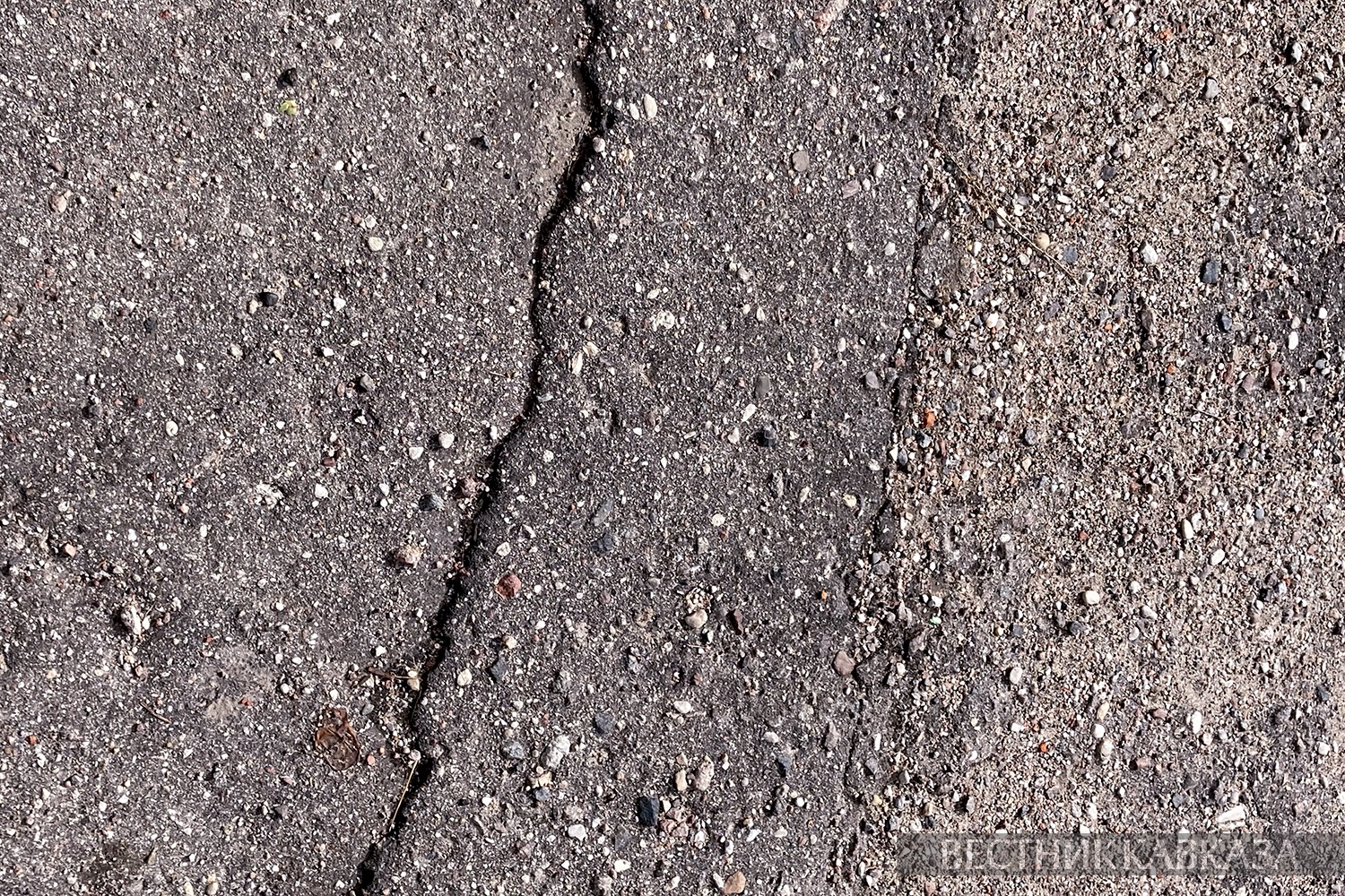 ����: vestikavkaza.ru