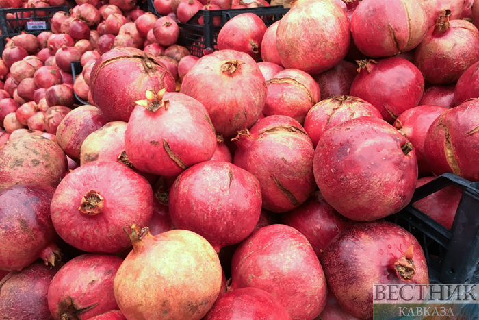 Фото: vestikavkaza.ru