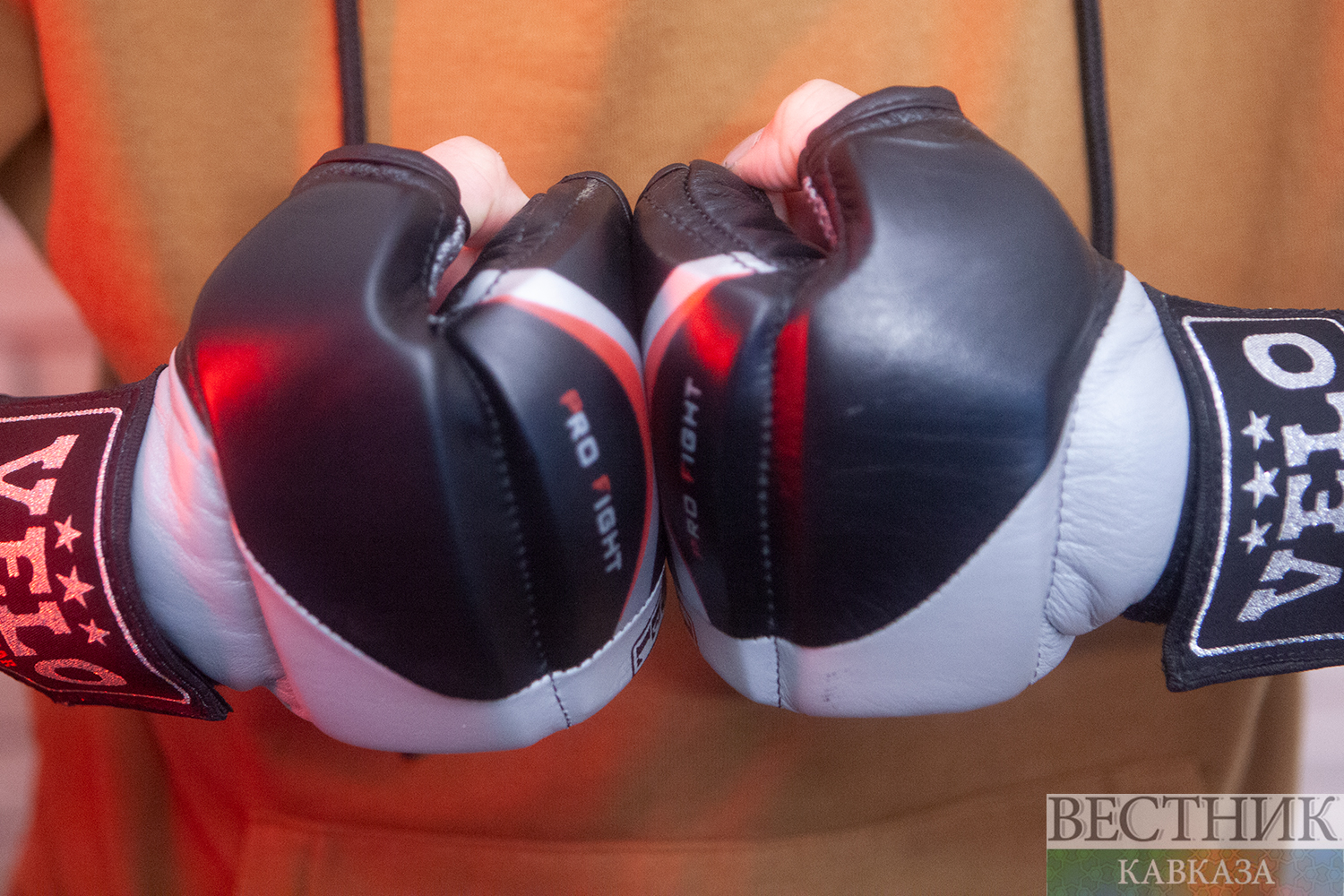  ��������� ���������� ufc ����� 2025 