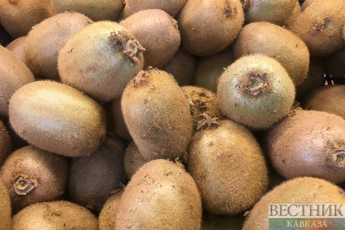 Фото: vestikavkaza.ru