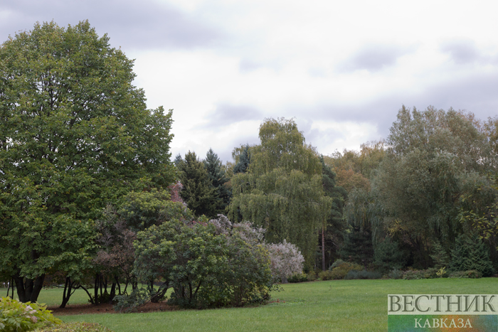 ����: vestikavkaza.ru