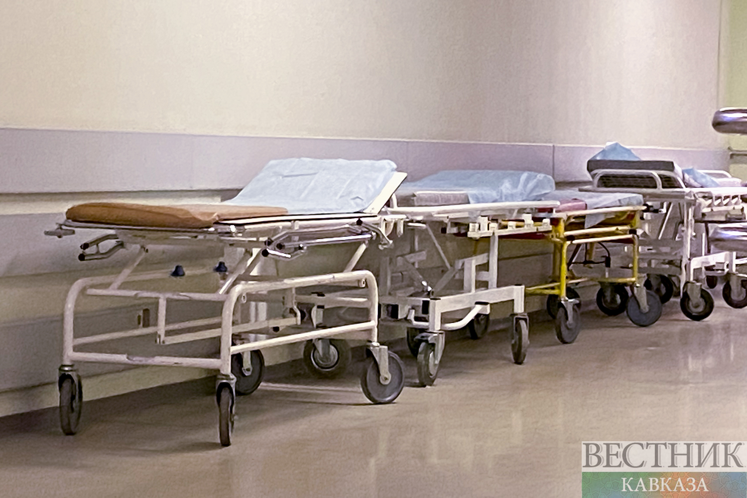 ����: vestikavkaza.ru