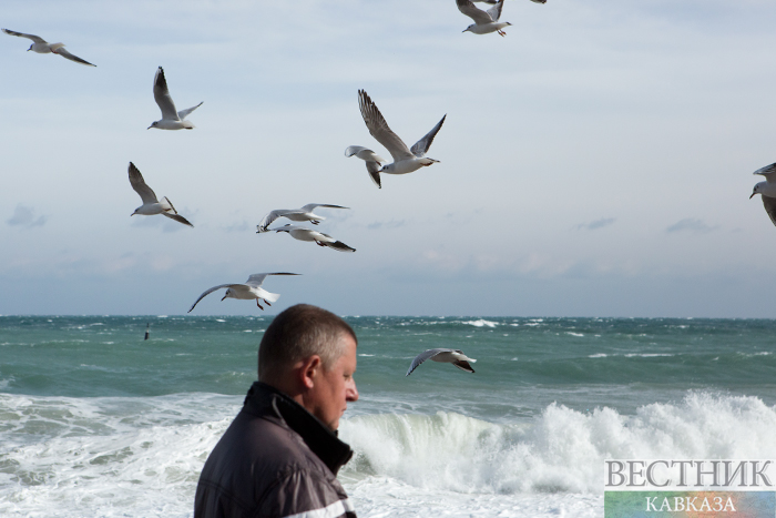 ����: vestikavkaza.ru