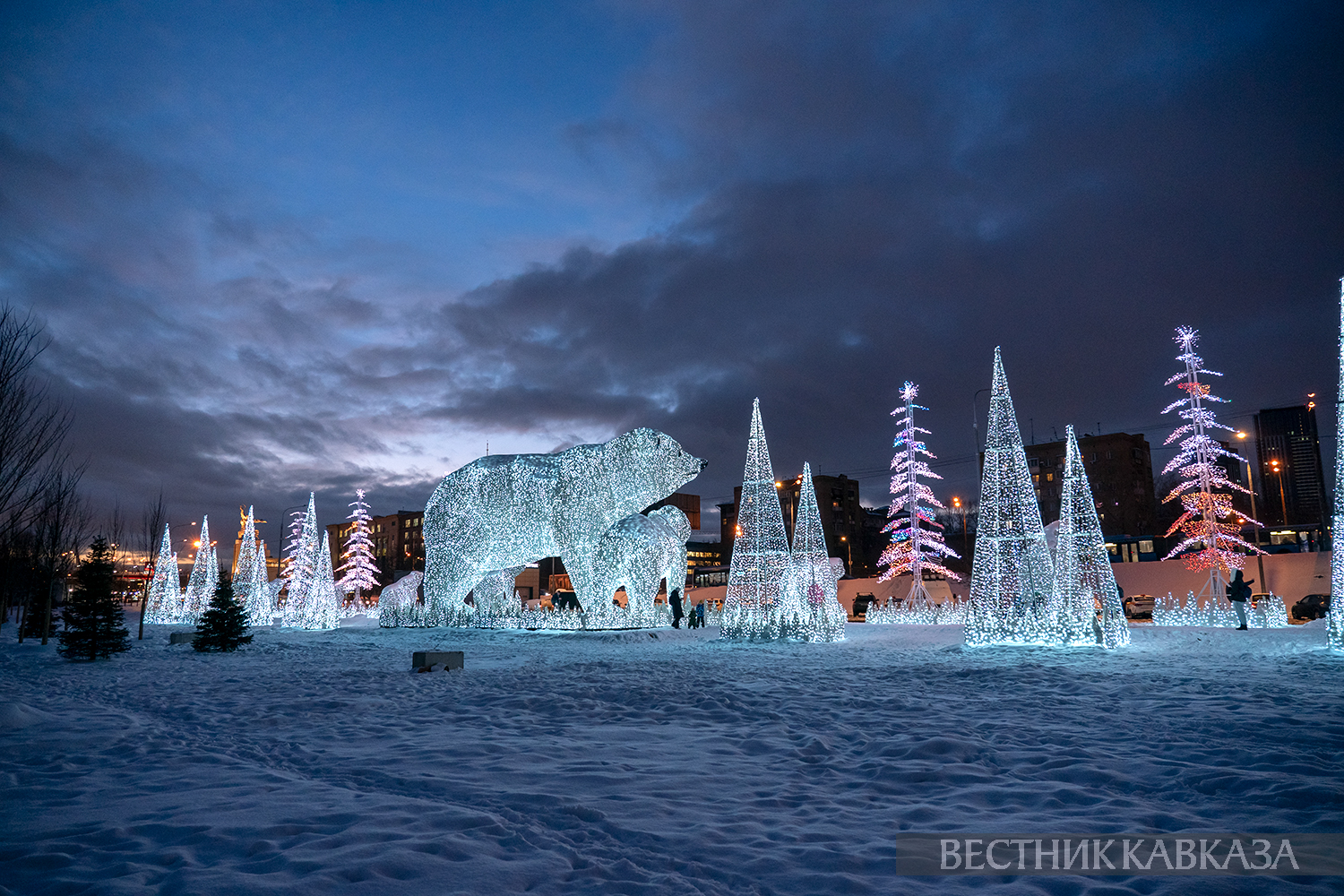 ����: vestikavkaza.ru