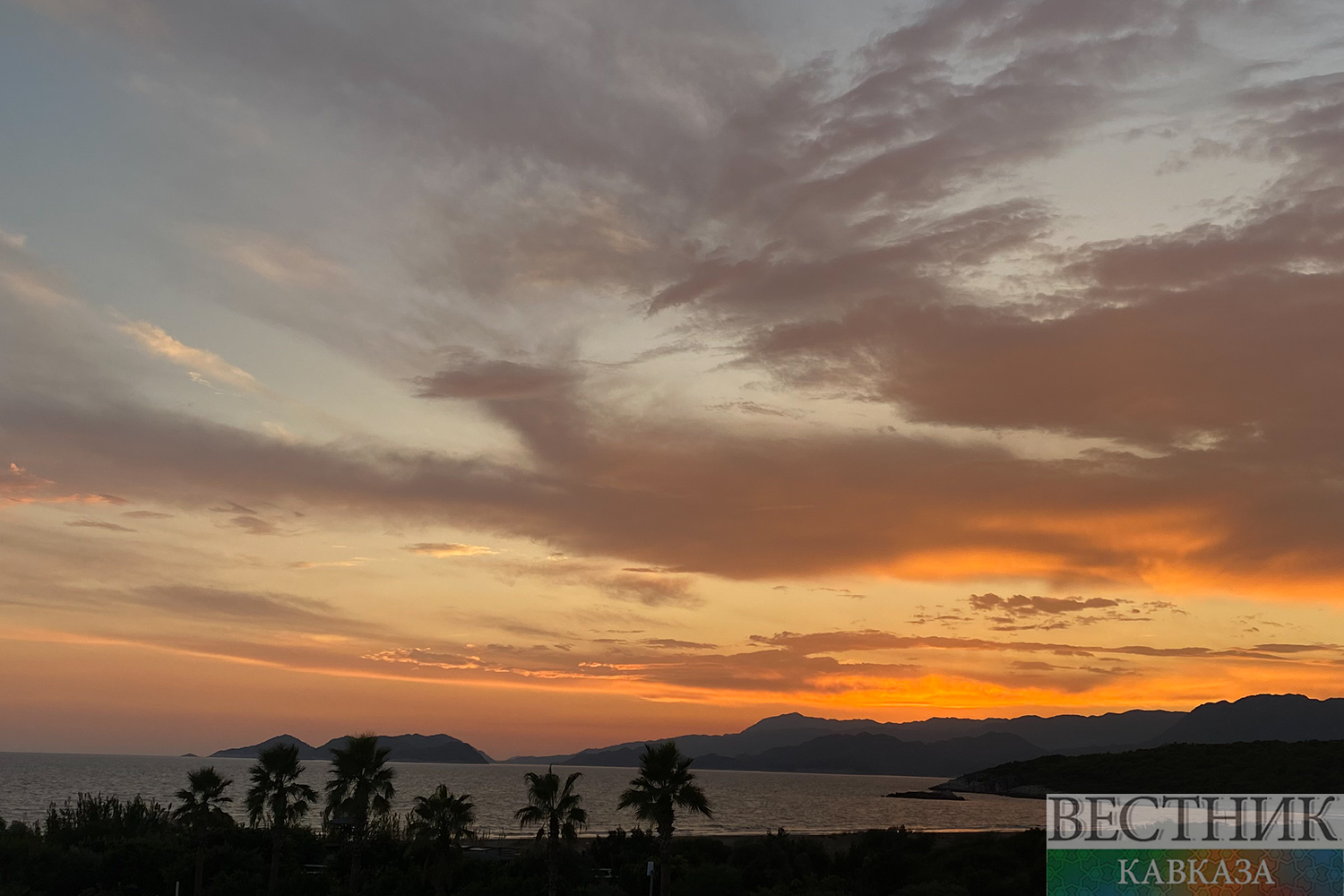 ����: vestikavkaza.ru