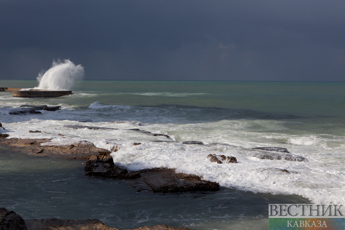 Фото: vestikavkaza.ru