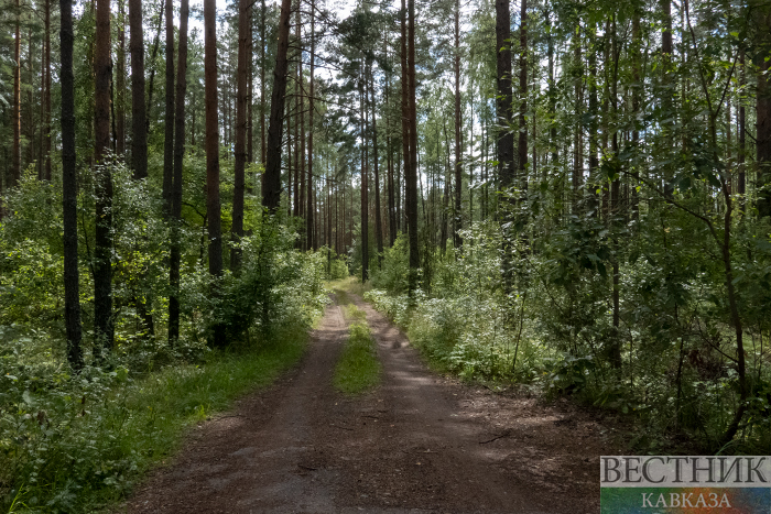 ����: vestikavkaza.ru