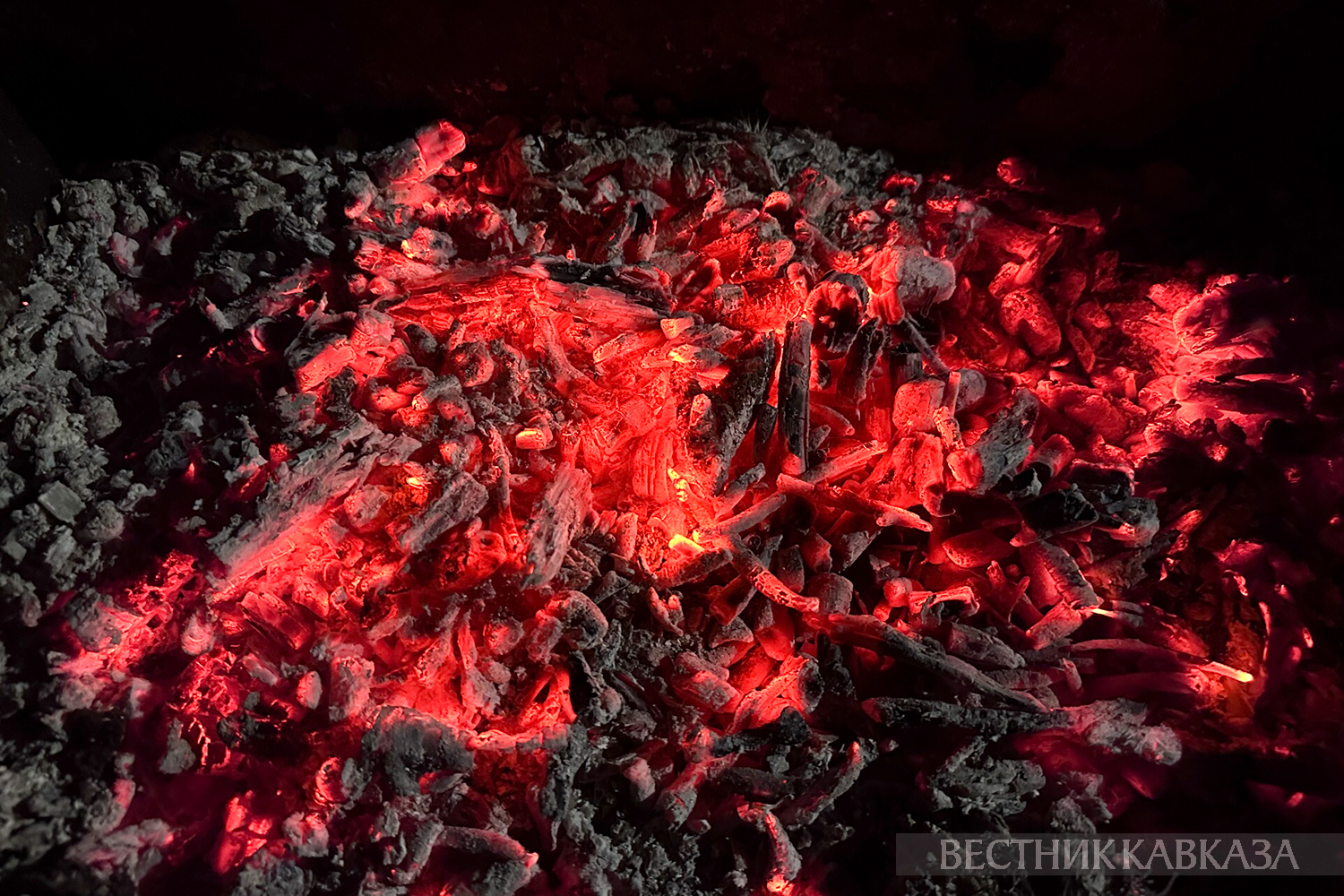 ����: vestikavkaza.ru