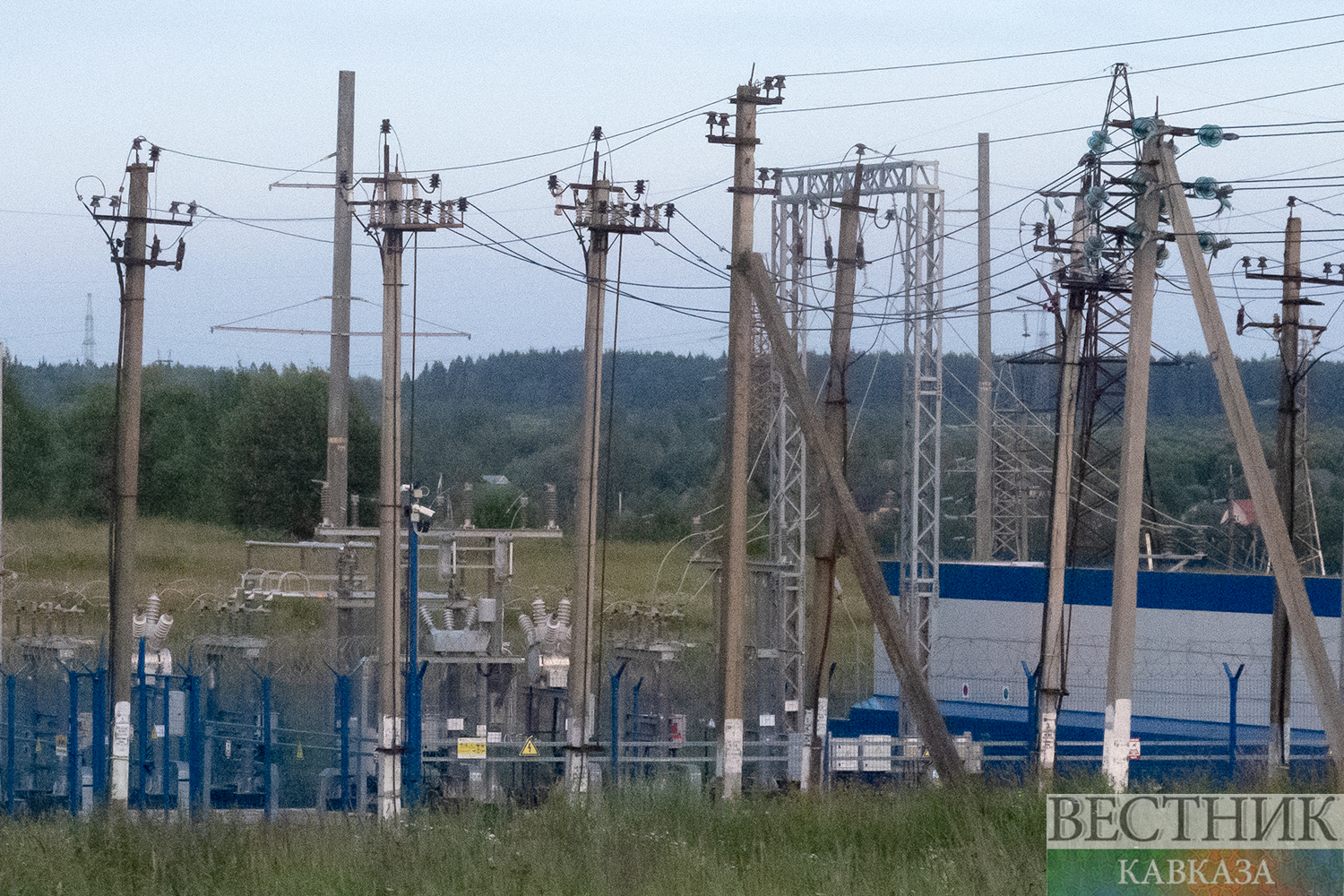 ����: vestikavkaza.ru