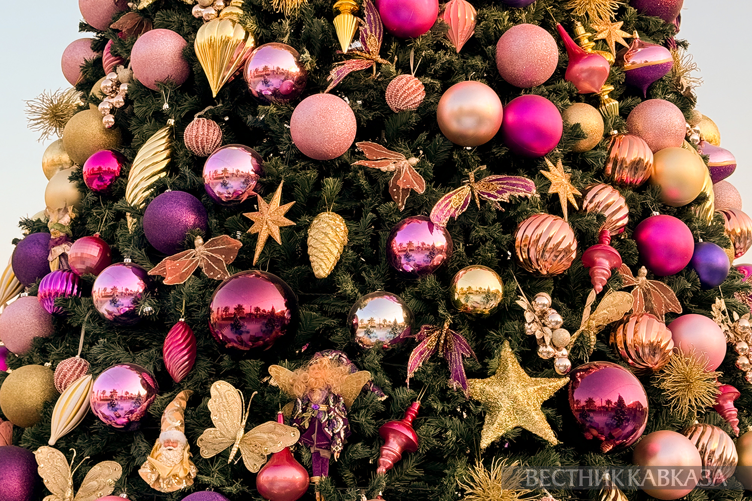 ����: vestikavkaza.ru