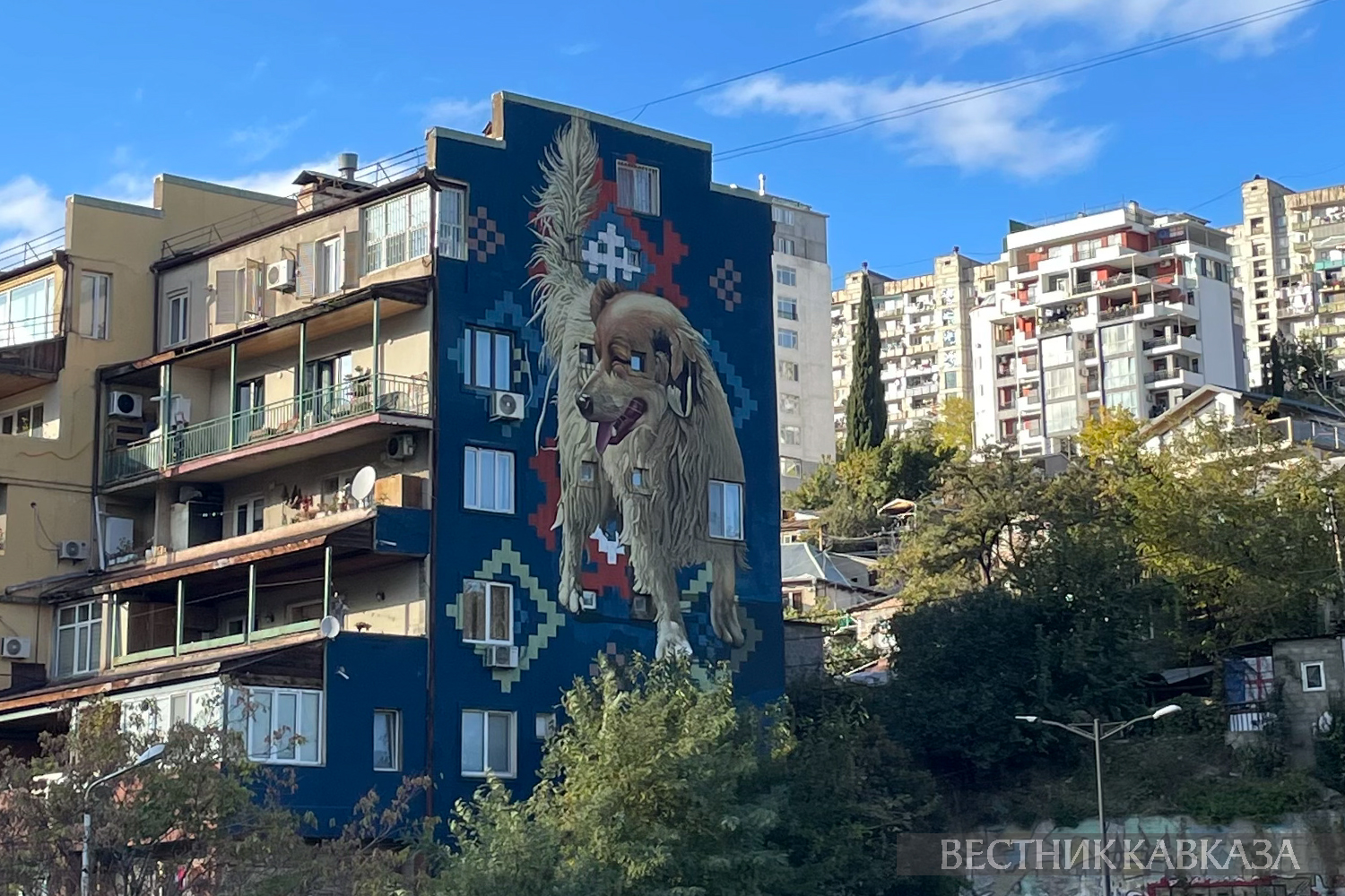 ����: vestikavkaza.ru