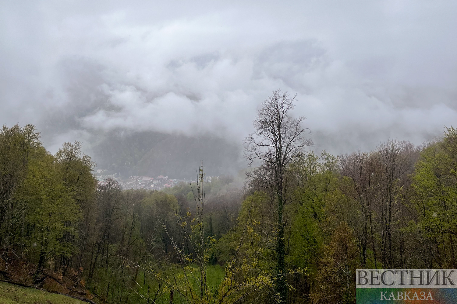 ����: vestikavkaza.ru