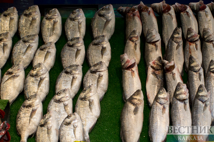 ����: vestikavkaza.ru