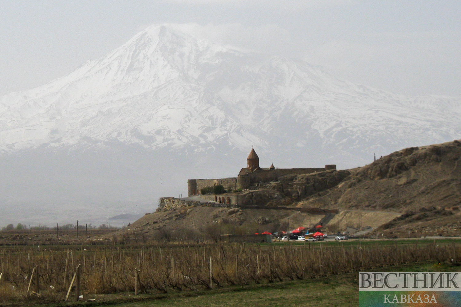 Фото: vestikavkaza.ru