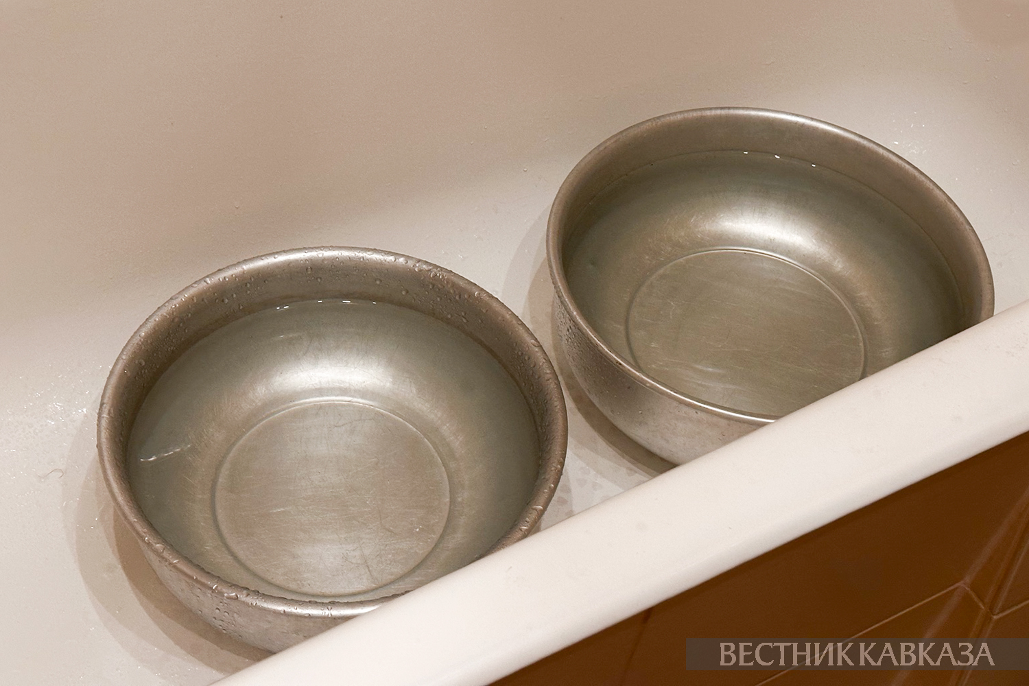 ����: vestikavkaza.ru