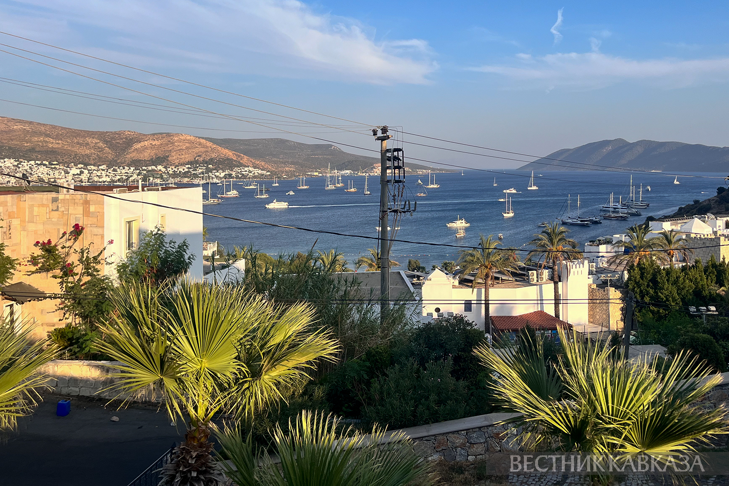 ����: vestikavkaza.ru