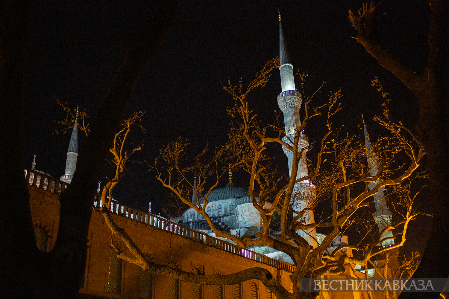 ����: vestikavkaza.ru