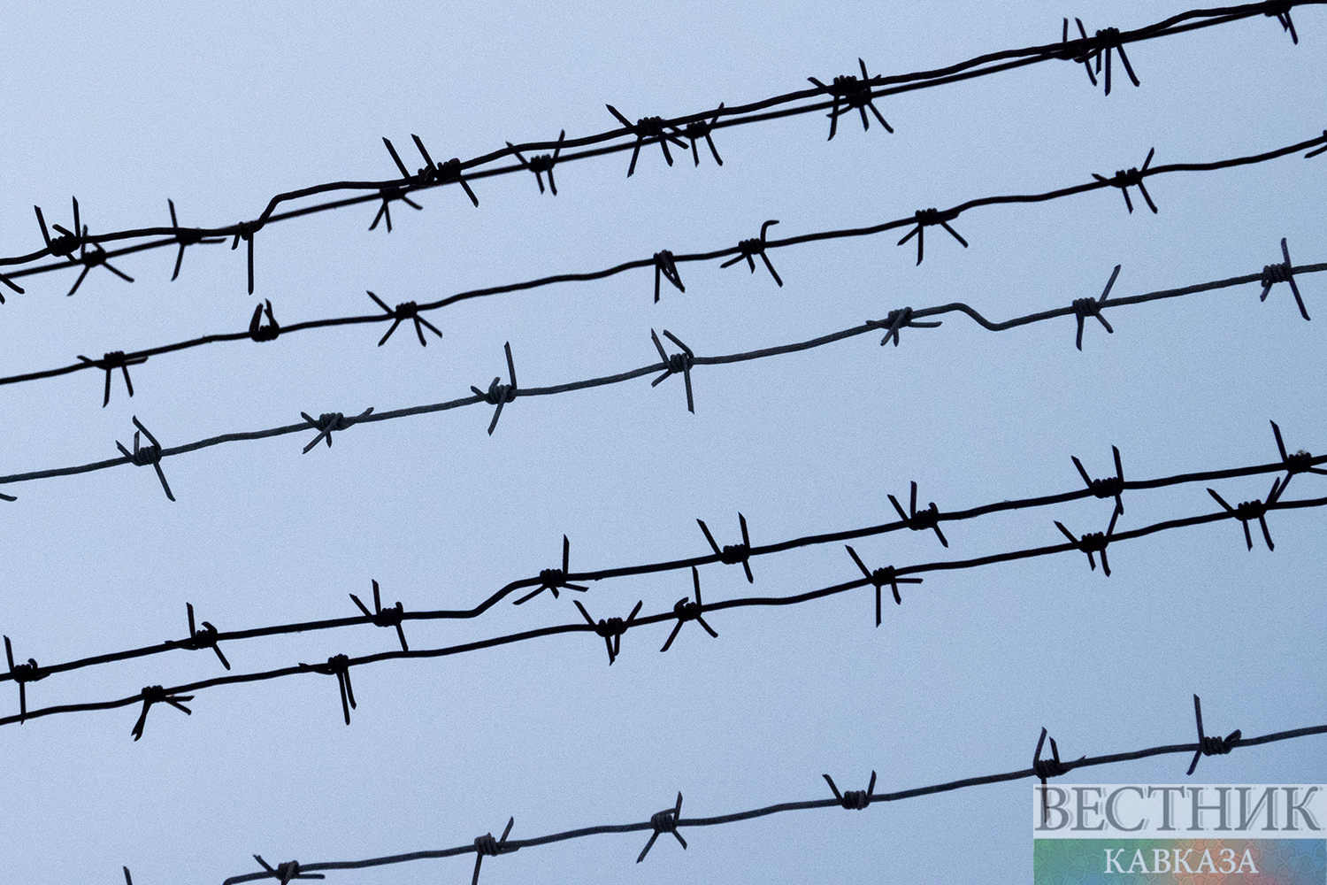 ����: vestikavkaza.ru