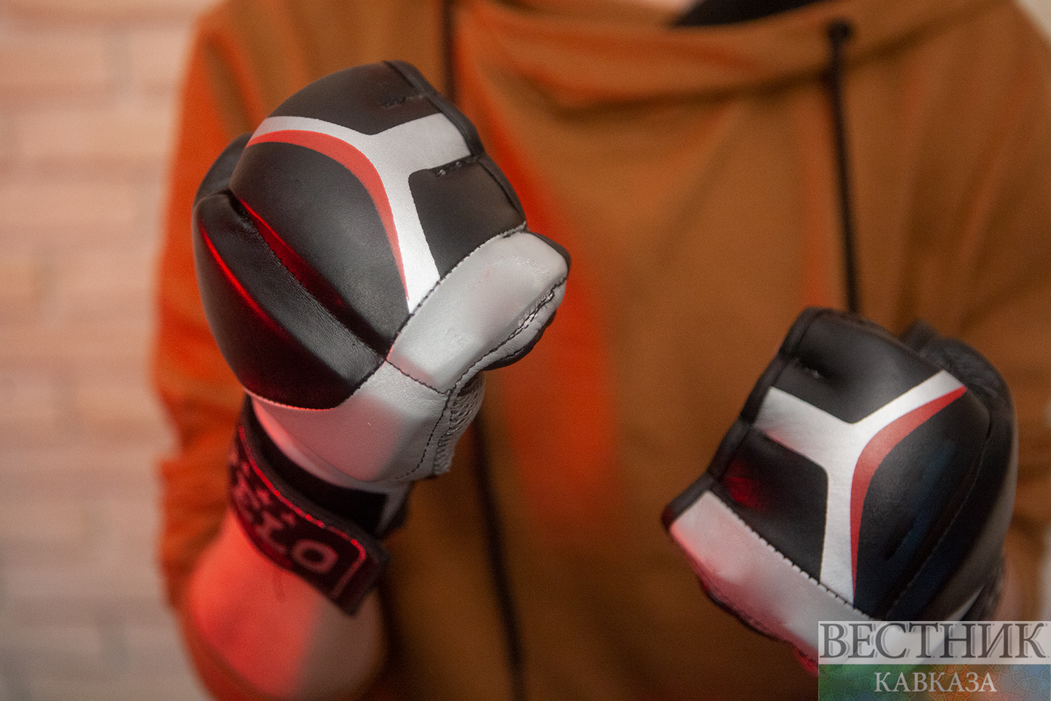 ����: vestikavkaza.ru