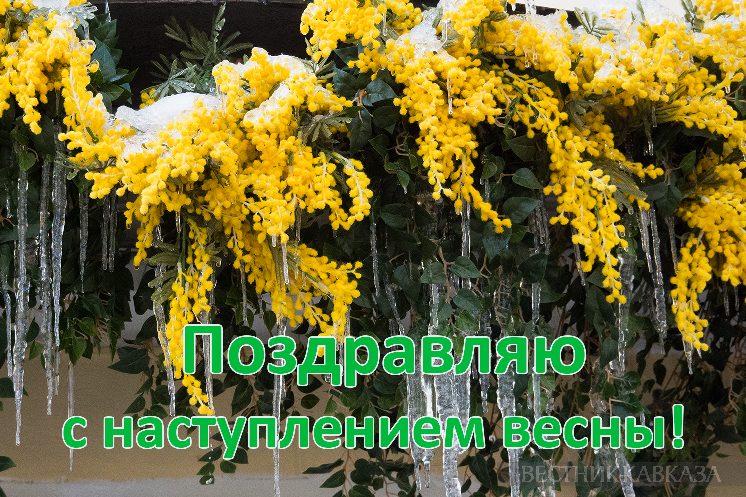 ����: vestikavkaza.ru