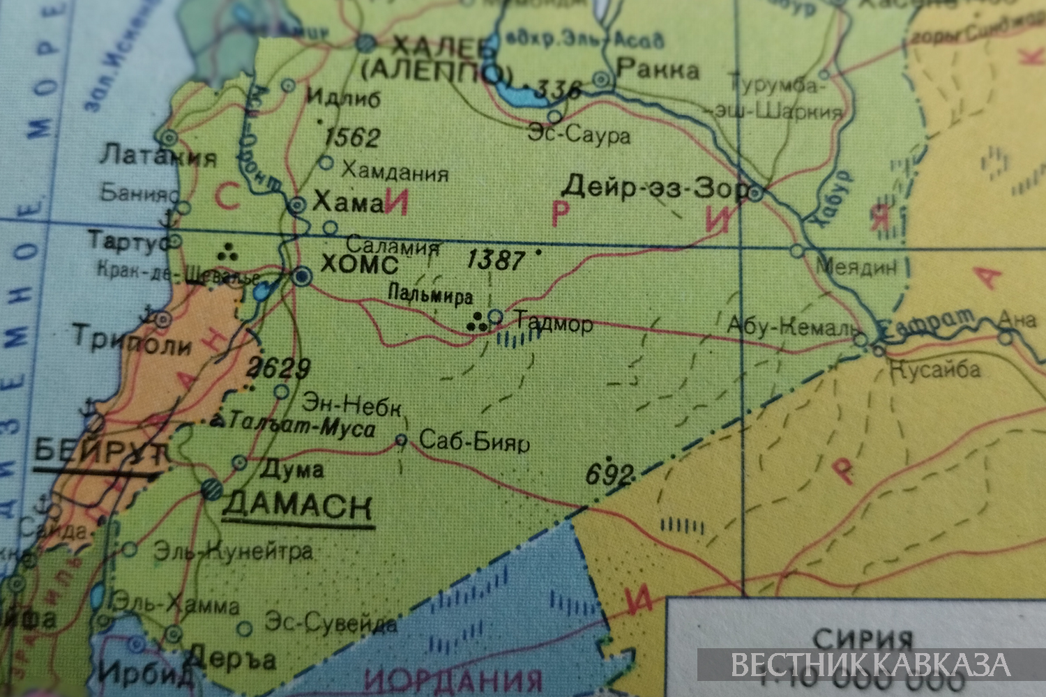 ����: vestikavkaza.ru