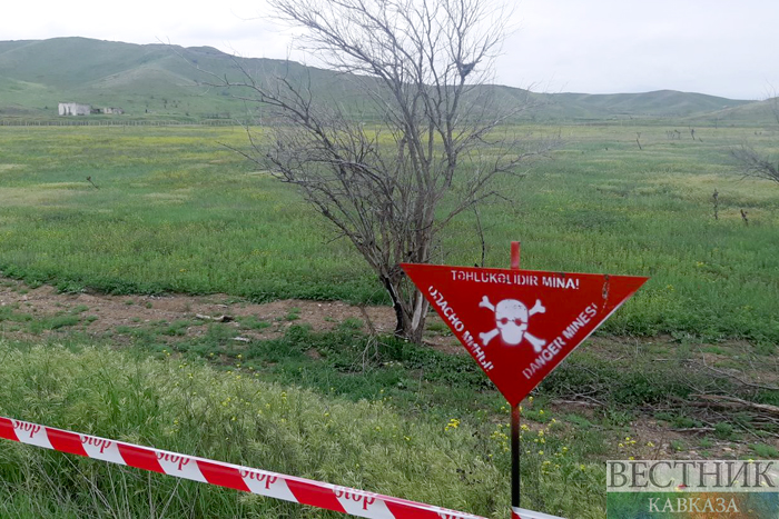 ����: vestikavkaza.ru