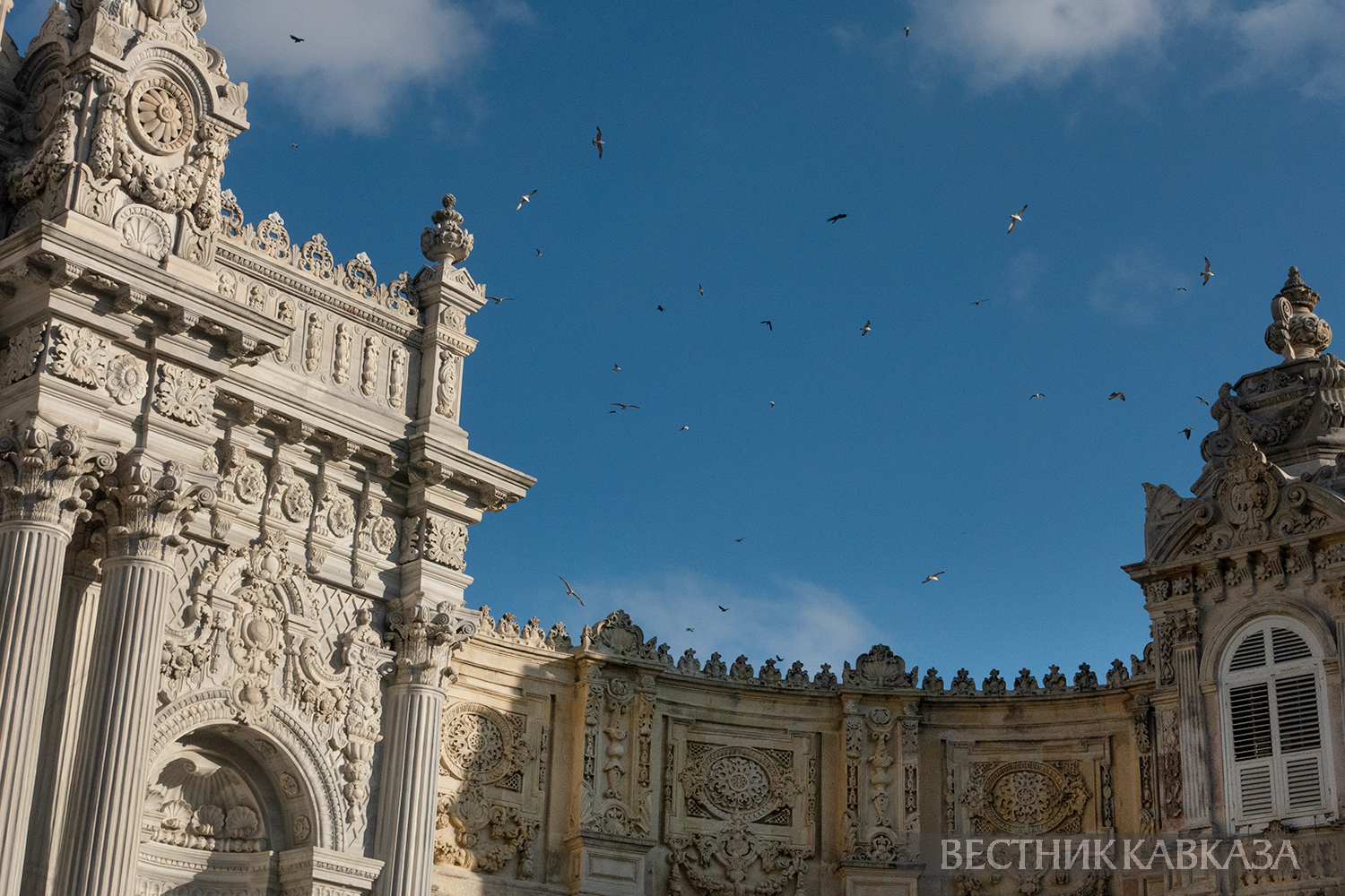 ����: vestikavkaza.ru