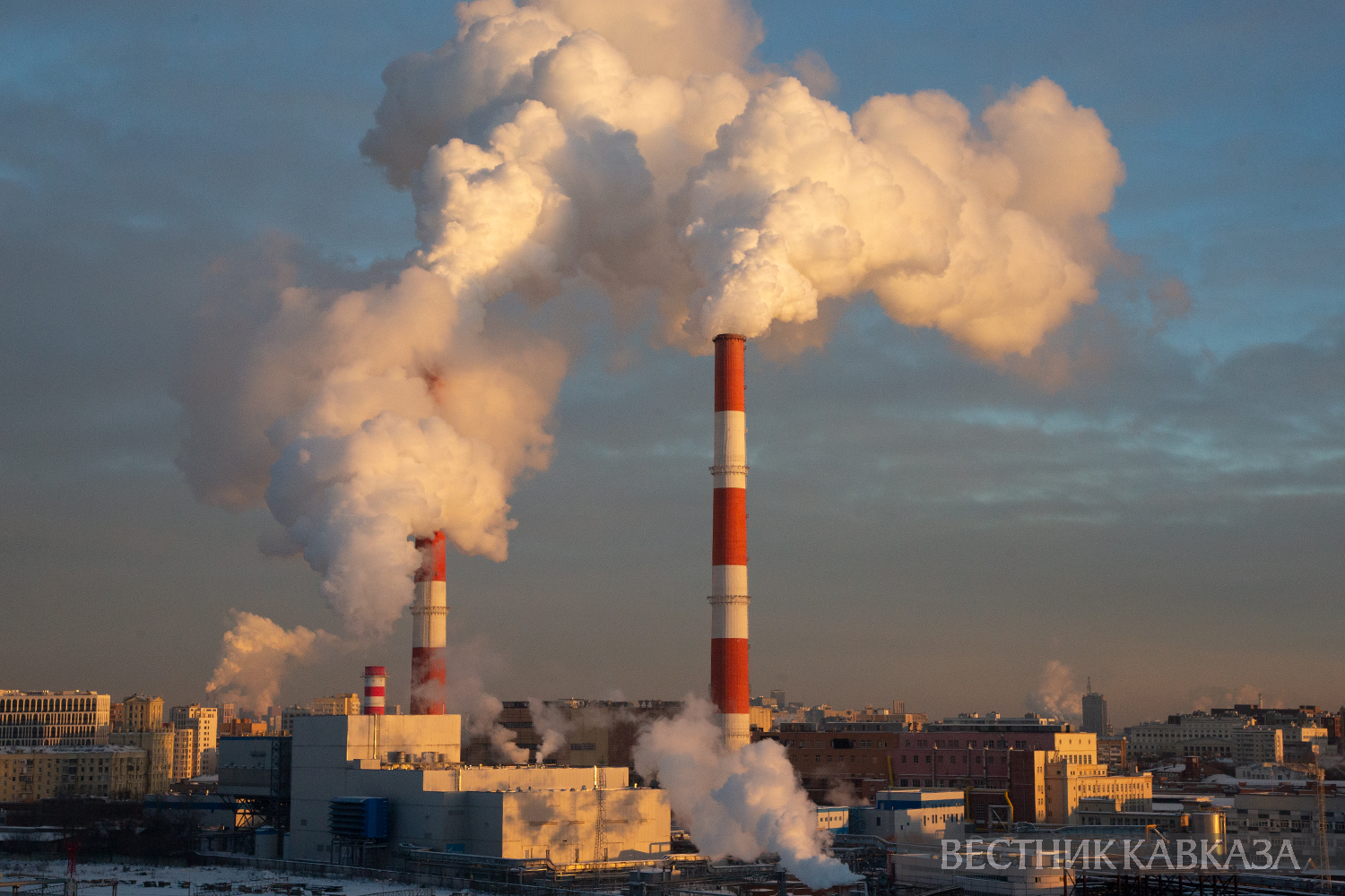 ����: vestikavkaza.ru