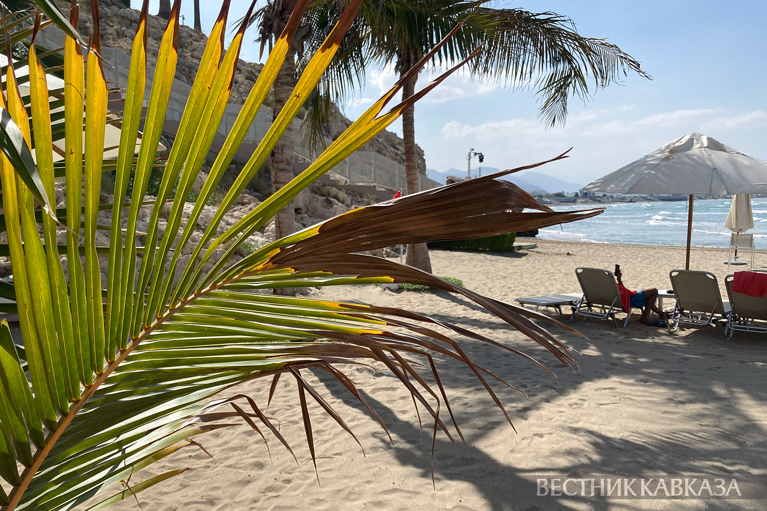 ����: vestikavkaza.ru