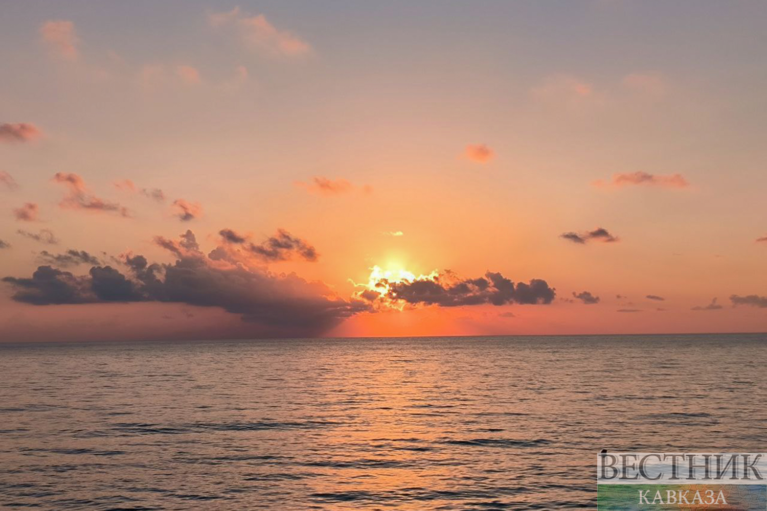 ����: vestikavkaza.ru