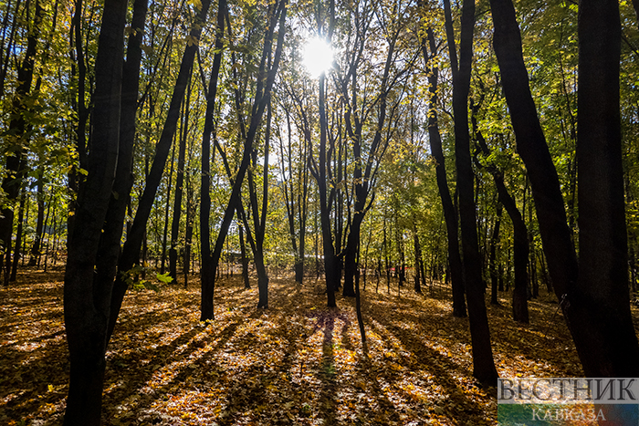 ����: vestikavkaza.ru