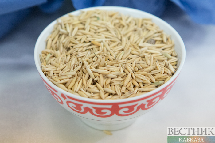 ����: vestikavkaza.ru