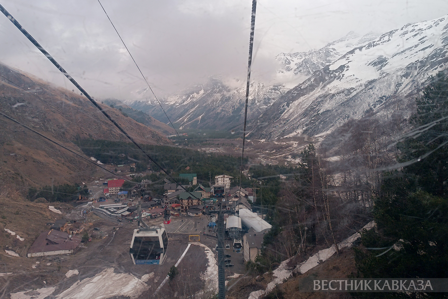 ����: vestikavkaza.ru