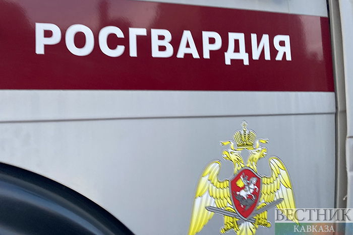 ����: vestikavkaza.ru