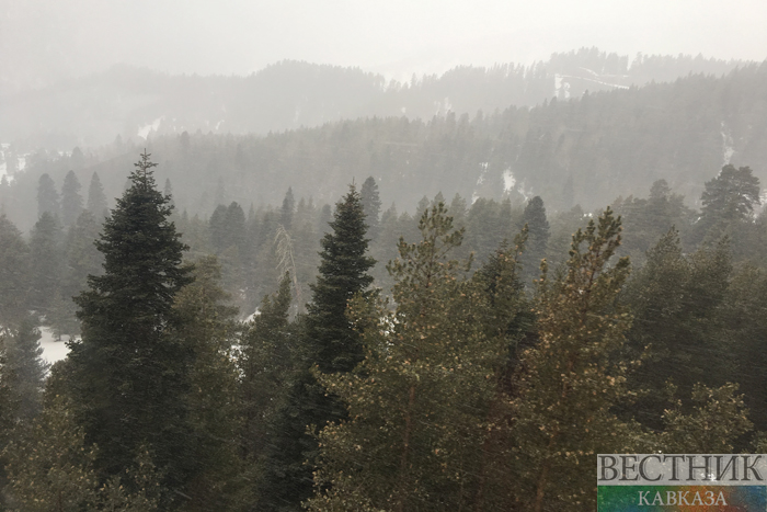 ����: vestikavkaza.ru