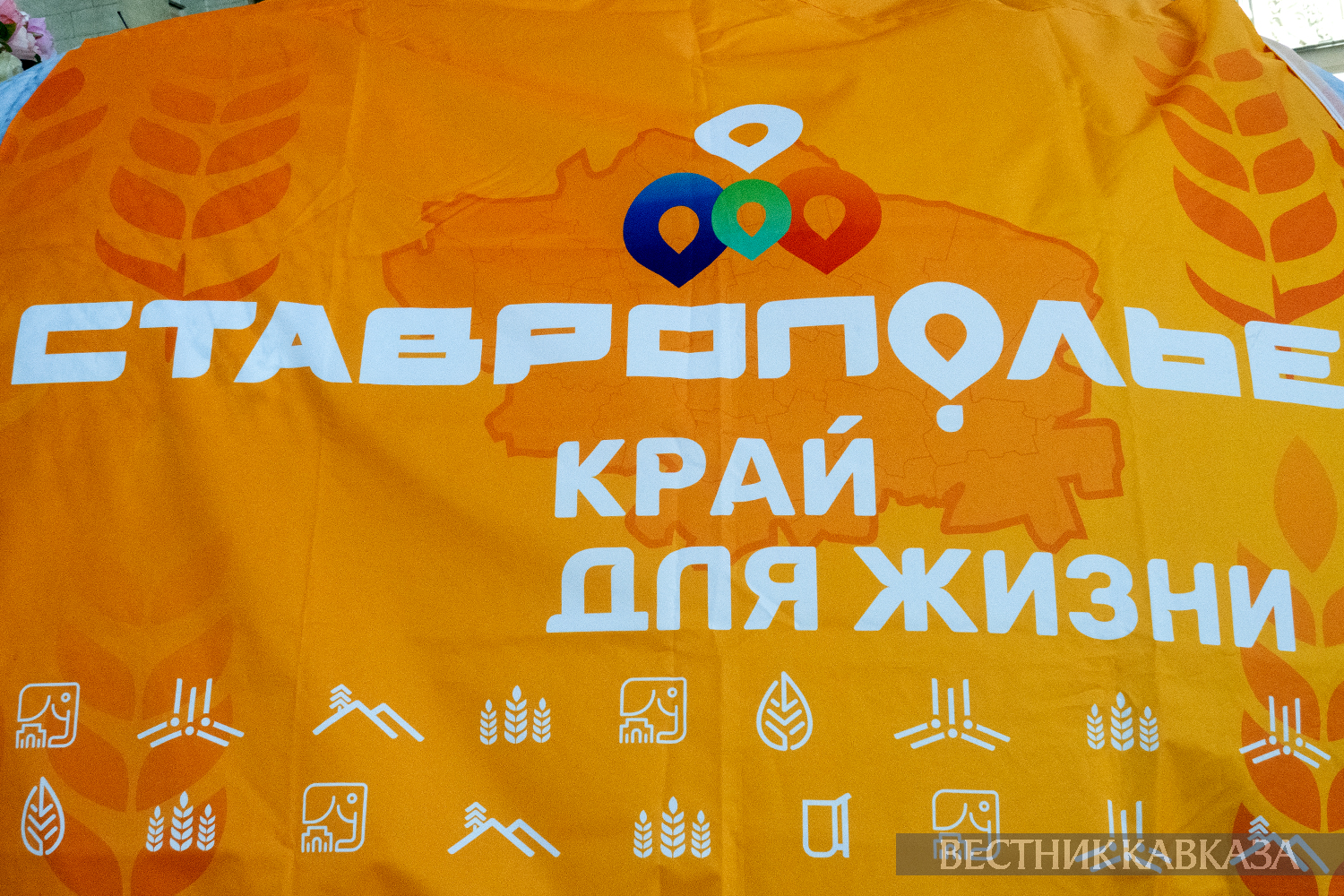 ����: vestikavkaza.ru