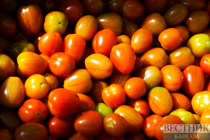 ����: vestikavkaza.ru