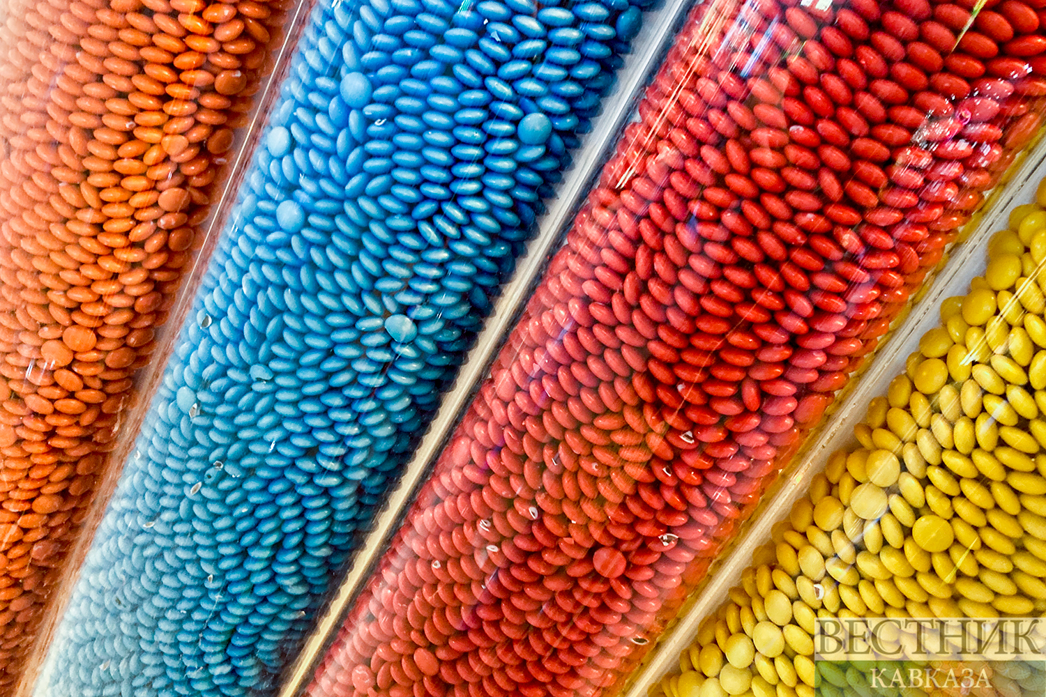 ����: vestikavkaza.ru