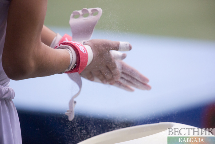 ����: vestikavkaza.ru